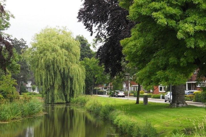 Stadswandeling door Plan Tusschendiepen (Veendam)