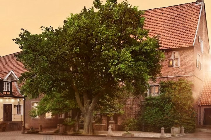 Museumreis: Haselünne en Cloppenburg