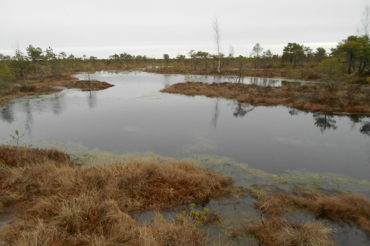 Fotoalbum Letland (platteland)